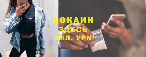 твердый Алексеевка
