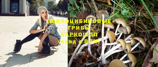 Альфа ПВП Алексин